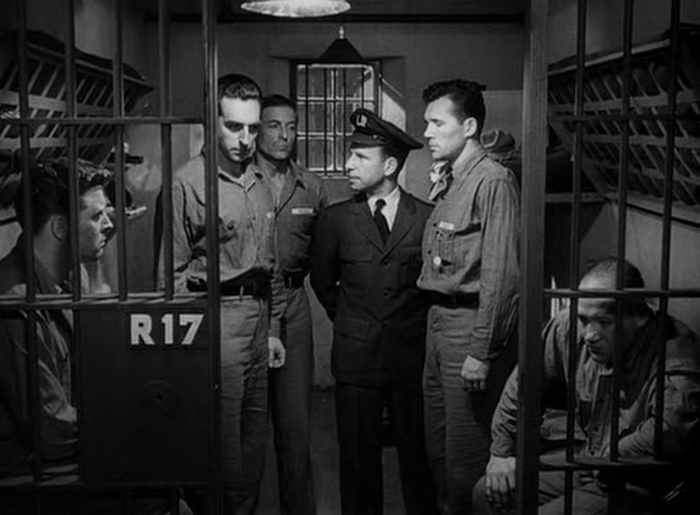 8655B893-467D-4C73-BCC4-602D431E9EEF