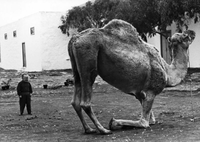 BD2FFCC6-DDBF-4B01-A52A-032C24DD98C2