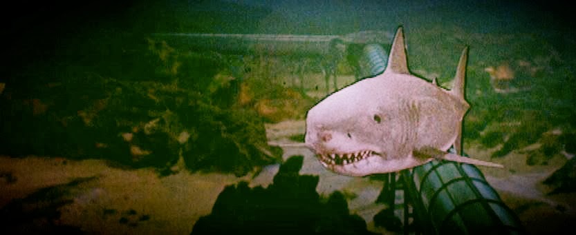 E07753A0-71E3-4D3E-90BC-FE5C2569C87C